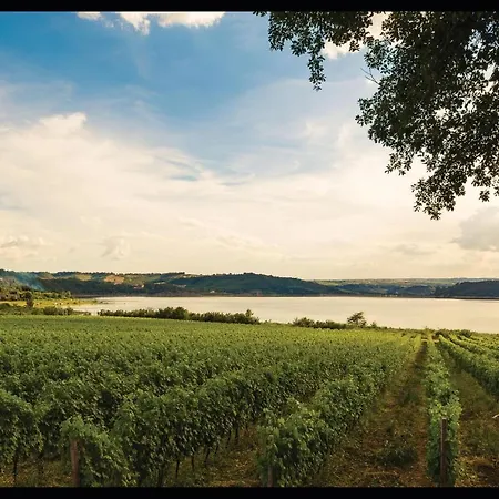 Alloro * Casamaggiore